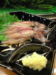 f:id:Mitts:20090221185913j:image