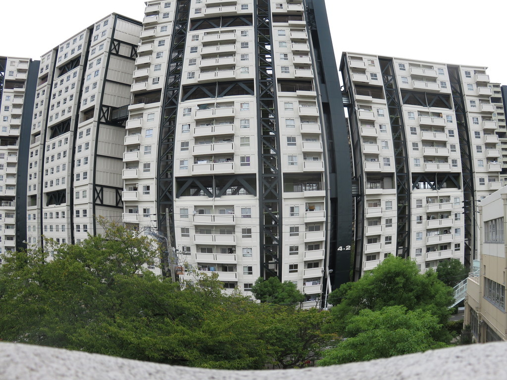 芦屋 市立 潮見 小学校