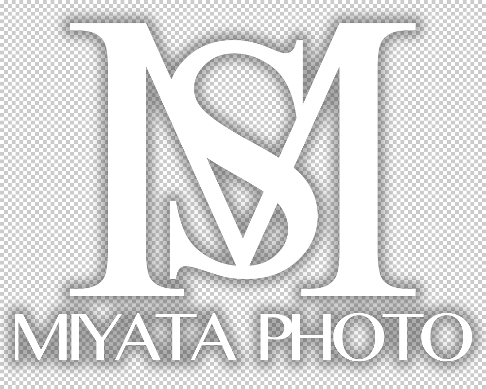 f:id:MiyataShota:20160509210026p:plain f:id:MiyataShota:20160509210026p:plain