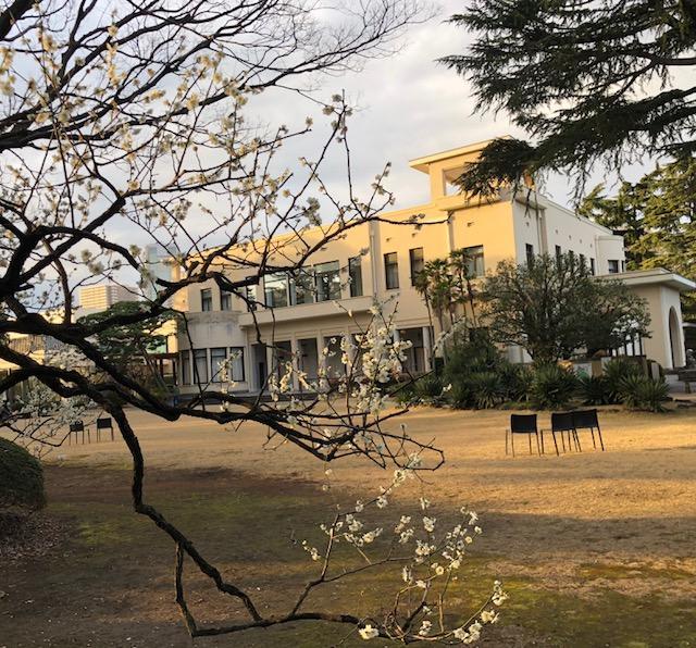 f:id:Miyukey:20200222162859j:plain