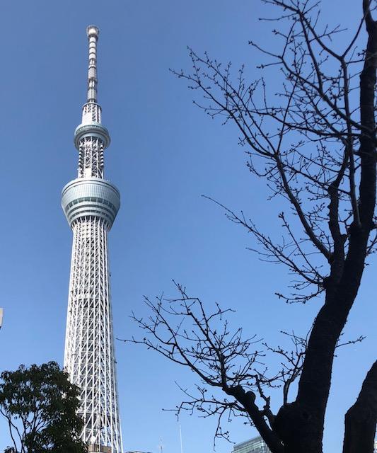 f:id:Miyukey:20210414132822j:plain