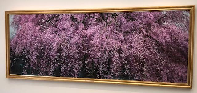 ヤオコー川越美術館（三栖右嗣記念館）は、きらめく生を感じる感動の