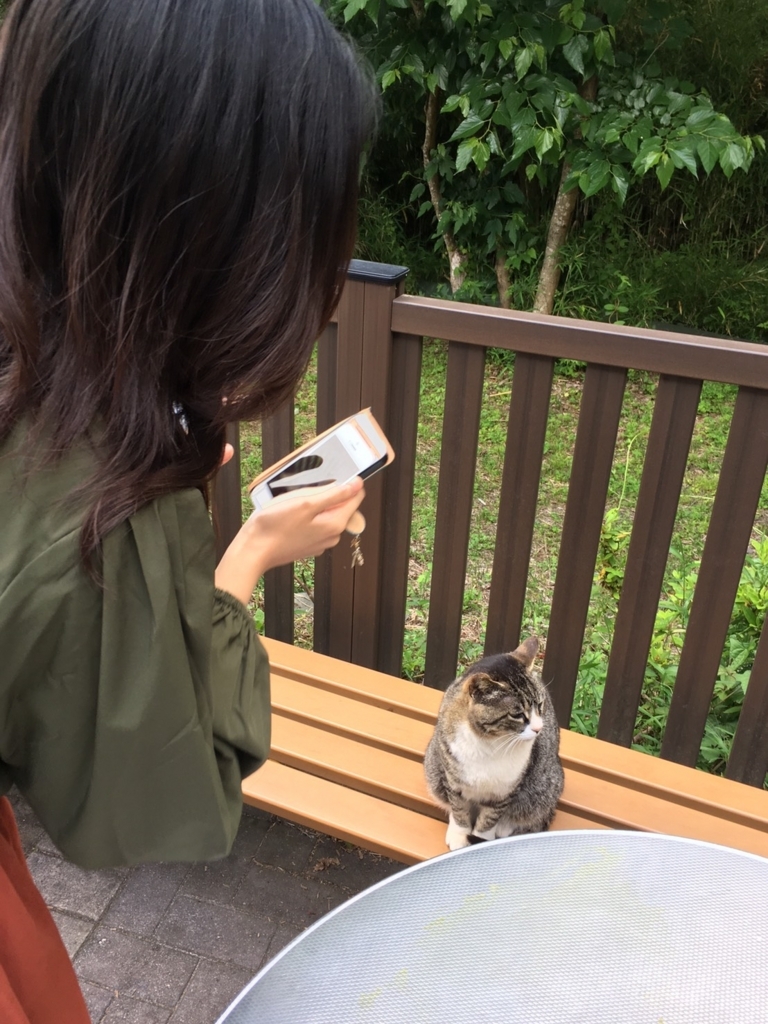 f:id:Mizukame:20170612135447j:plain f:id:Mizukame:20170612135447j:plain