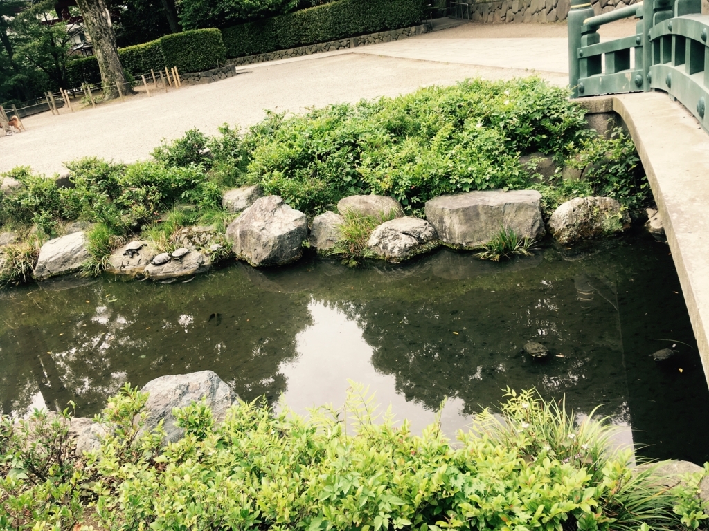f:id:Mizukame:20170612151358j:plain f:id:Mizukame:20170612151358j:plain