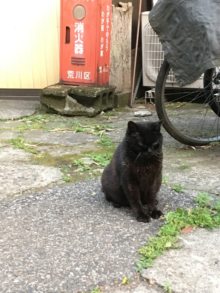 f:id:Mizukame:20170612152937j:plain f:id:Mizukame:20170612152937j:plain
