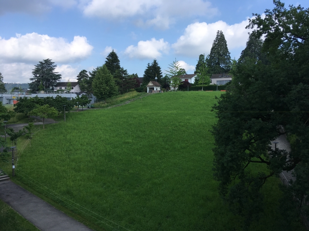 f:id:Mizukame:20180608052819j:plain f:id:Mizukame:20180608052819j:plain