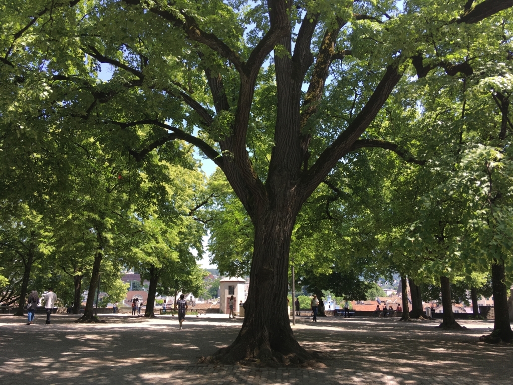 f:id:Mizukame:20180608053025j:plain f:id:Mizukame:20180608053025j:plain