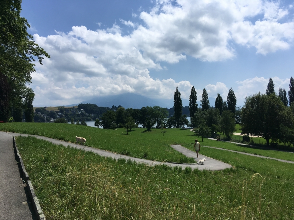 f:id:Mizukame:20180609023323j:plain f:id:Mizukame:20180609023323j:plain