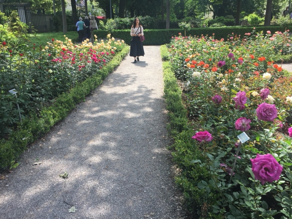 f:id:Mizukame:20180609025045j:plain f:id:Mizukame:20180609025045j:plain