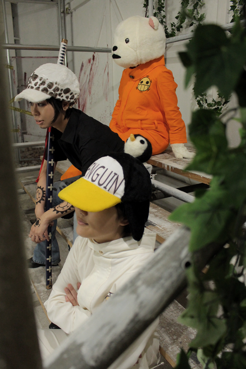 コスプレ One Piece ハートの海賊団 19 11 30 Karenn S Diary