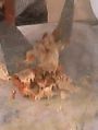 f:id:Mmc:20050811194343j:image f:id:Mmc:20050811194343j:image