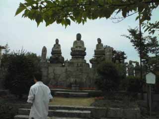 f:id:Mmc:20080614104645j:image