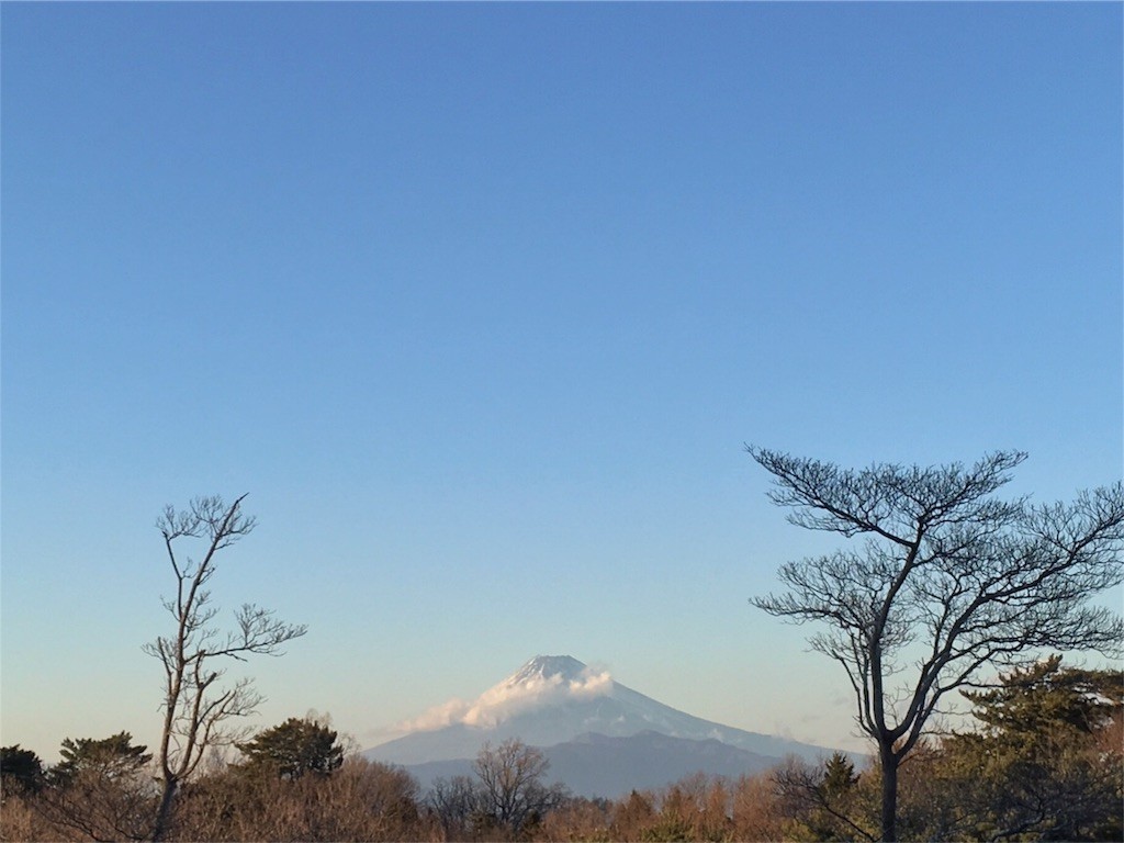 f:id:Mmc:20180115170300j:image f:id:Mmc:20180115170300j:image