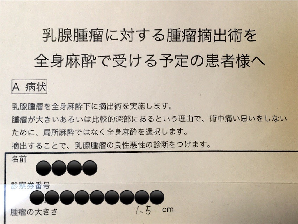 f:id:Mmc:20180318141323j:image