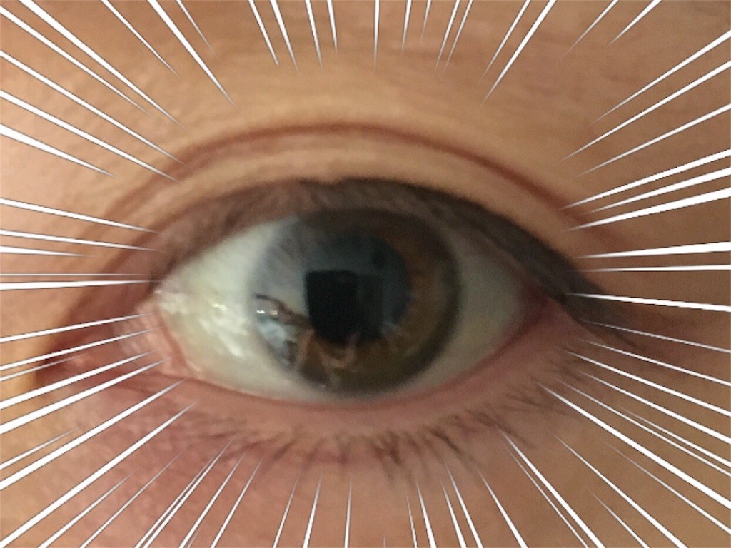 読んだり食べたり書き付けたり