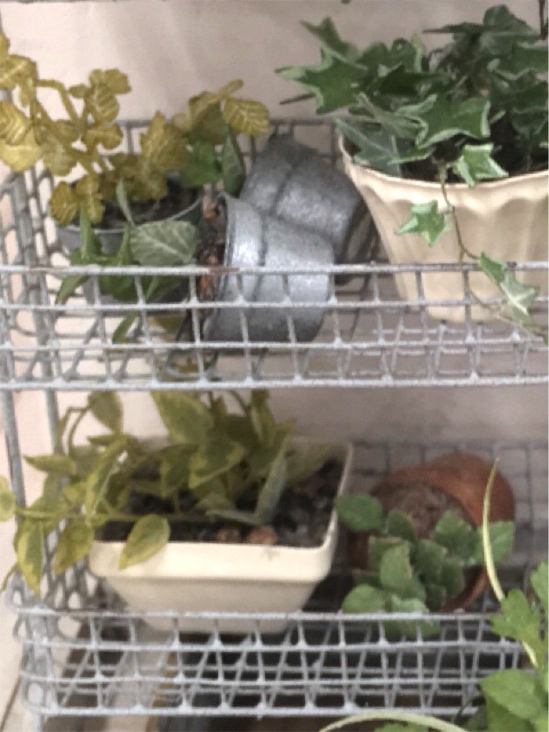 f:id:Mmc:20180515234421j:plain f:id:Mmc:20180515234421j:plain