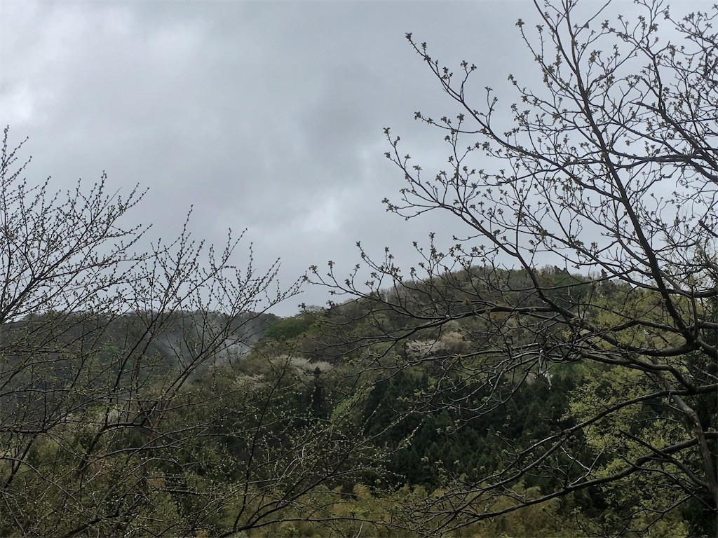 f:id:Mmc:20190428012708j:plain f:id:Mmc:20190428012708j:plain