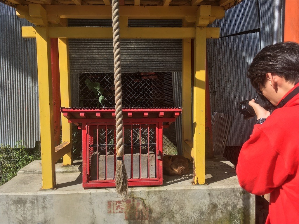 f:id:Mmc:20191012003458j:plain f:id:Mmc:20191012003458j:plain