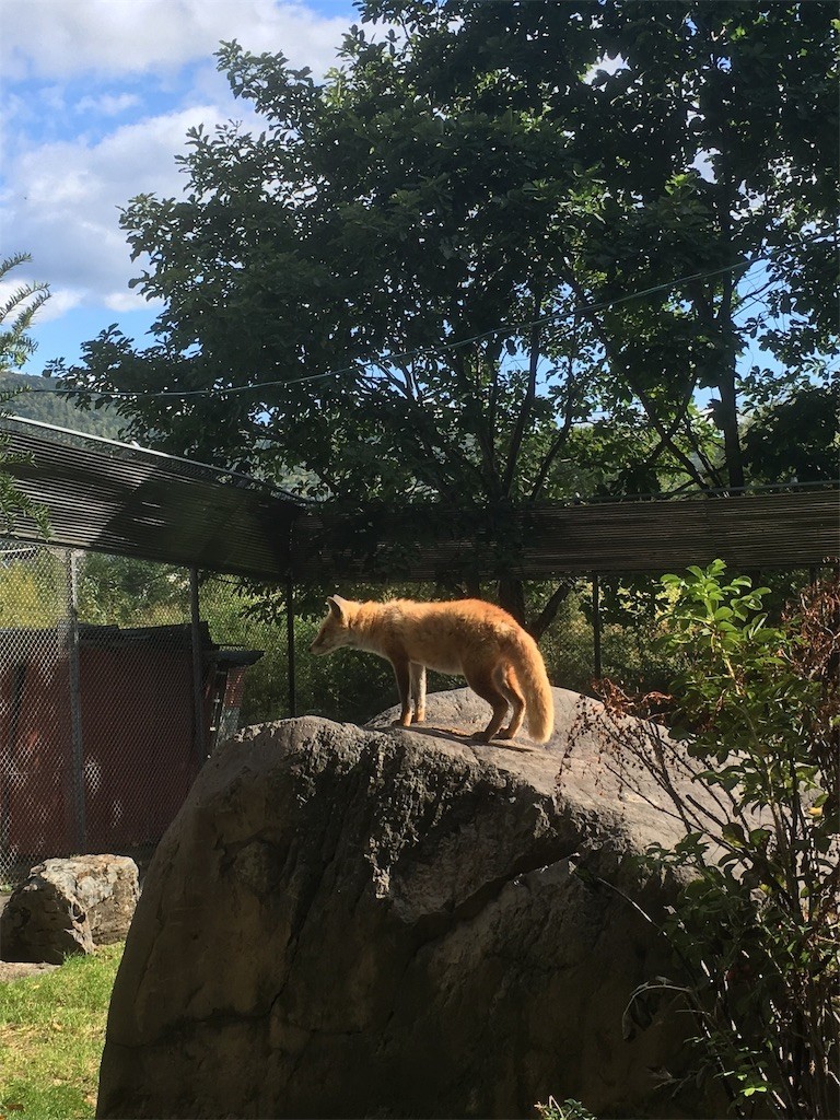 f:id:Mmc:20191012003727j:plain f:id:Mmc:20191012003727j:plain