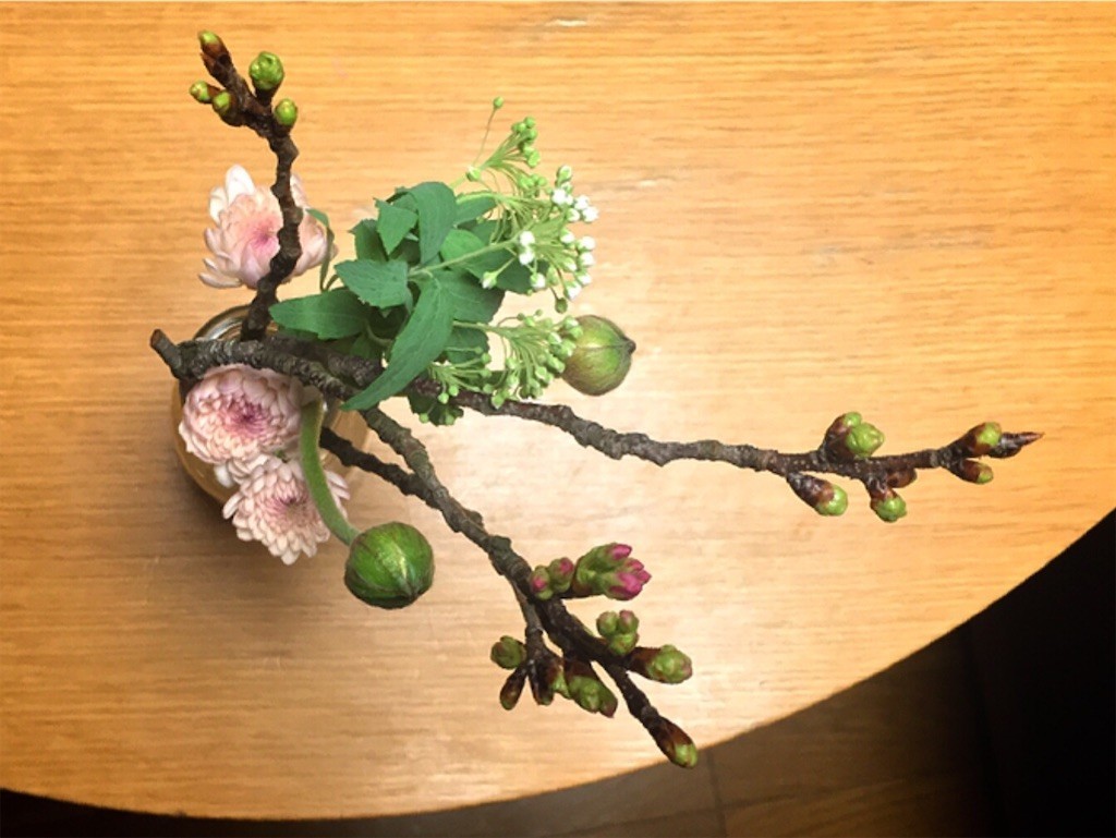 f:id:Mmc:20210307031946j:image