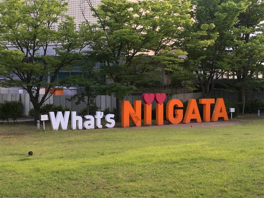 f:id:Mmc:20210708201824j:image f:id:Mmc:20210708201824j:image