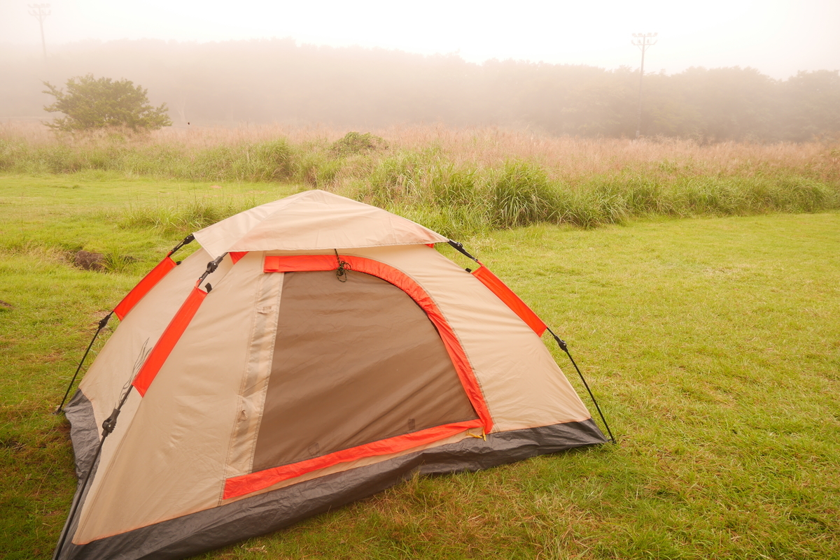 f:id:Moai1:20210201190138j:plain