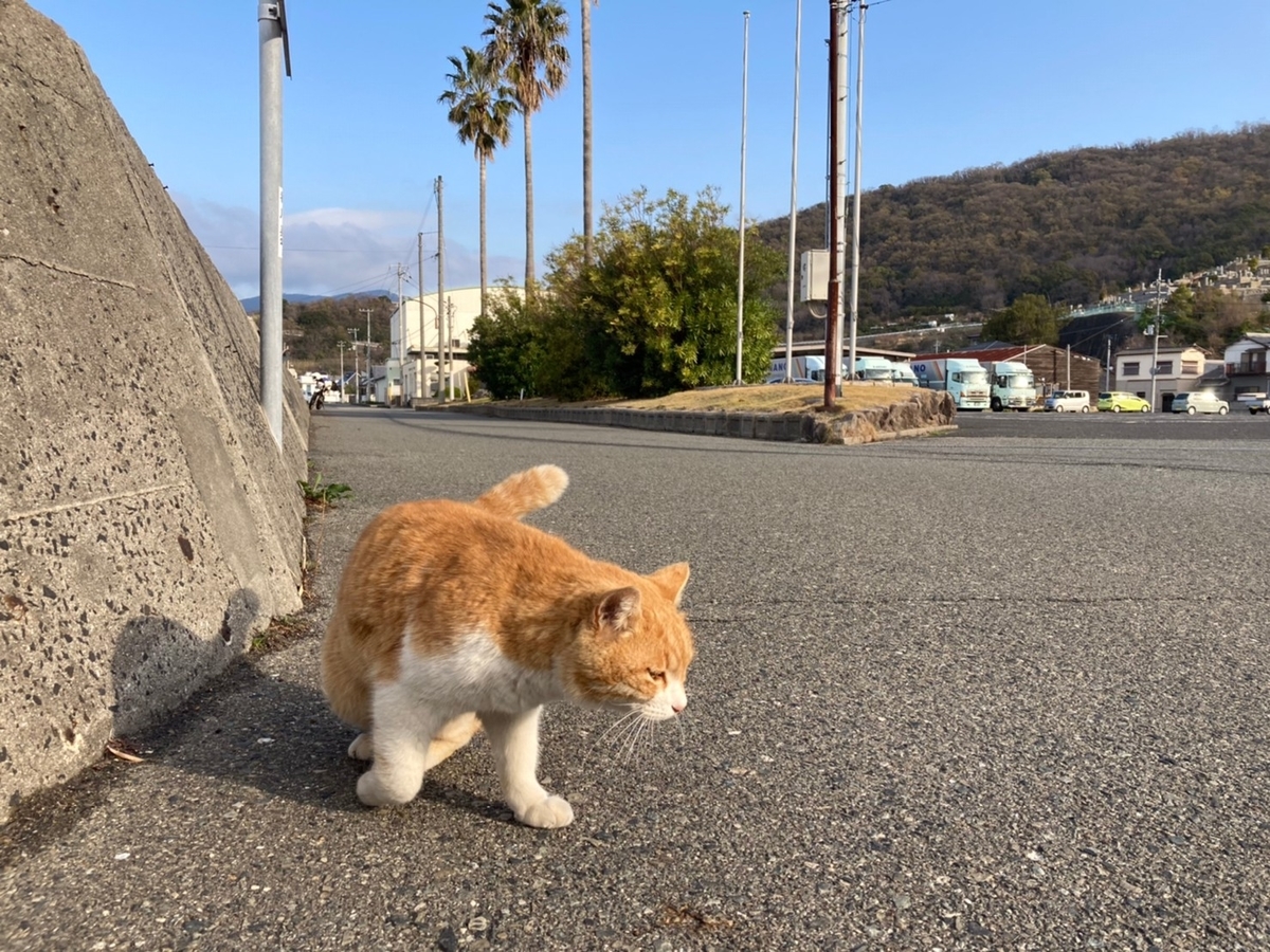 f:id:Moai1:20210502131954j:plain