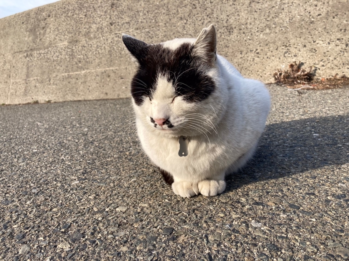 f:id:Moai1:20210502132019j:plain