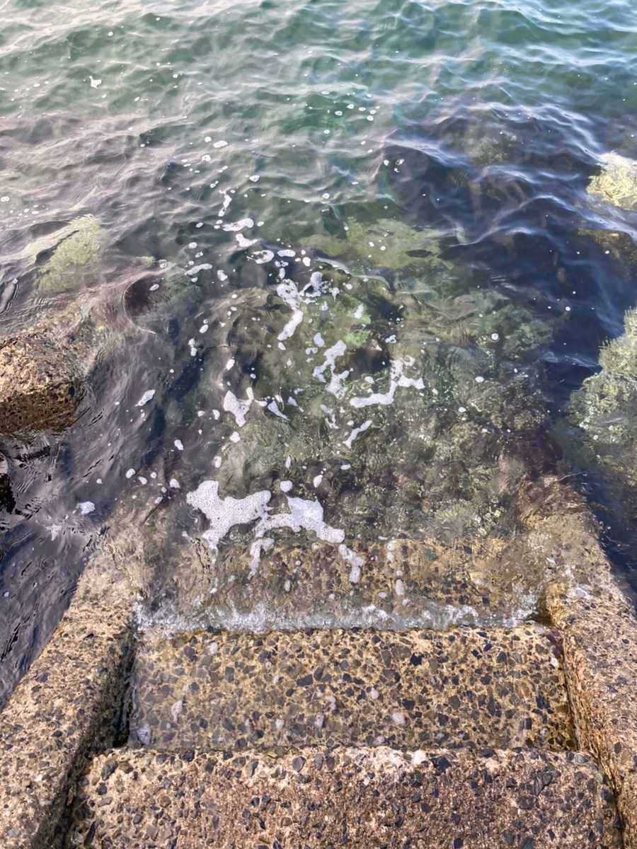 f:id:Moai1:20210502132033j:plain