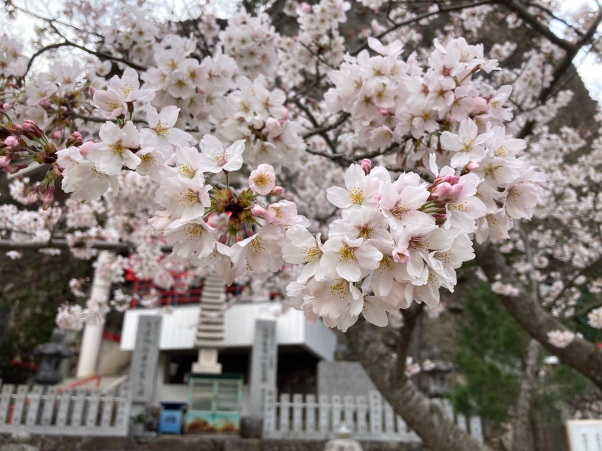 f:id:Moai1:20210503005039j:plain