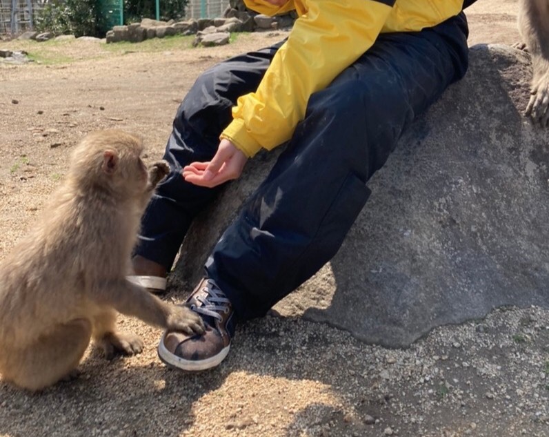 f:id:Moai1:20210504002421j:plain