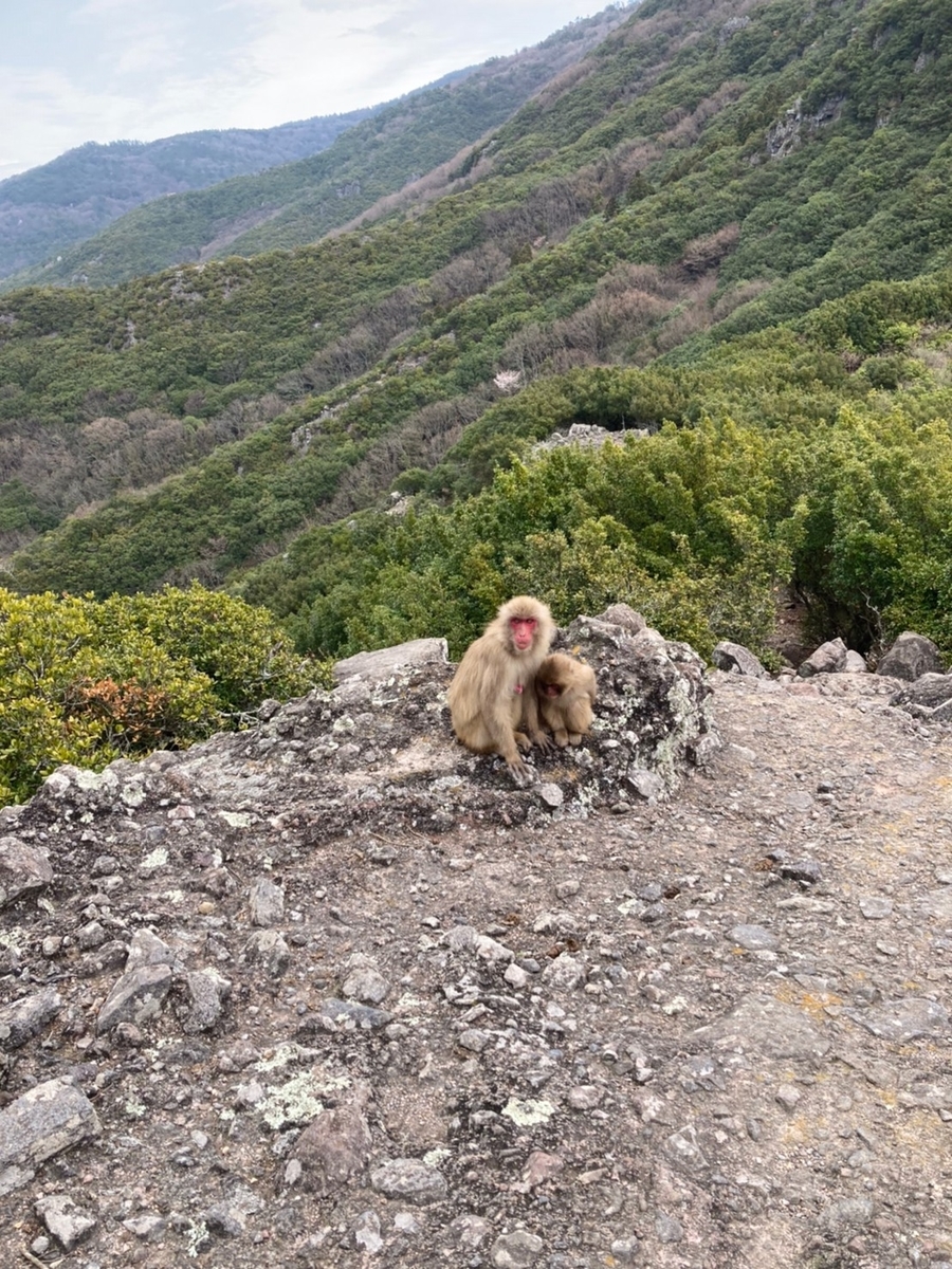 f:id:Moai1:20210504005039j:plain