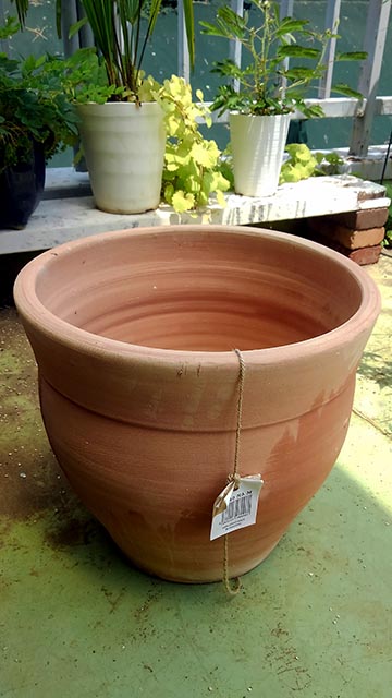 鉢植え植え替え計画 〜紫陽花＆シクラメン編〜。 - もちゃもちゃ堂