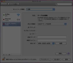 f:id:Mochi2:20100305015224j:image