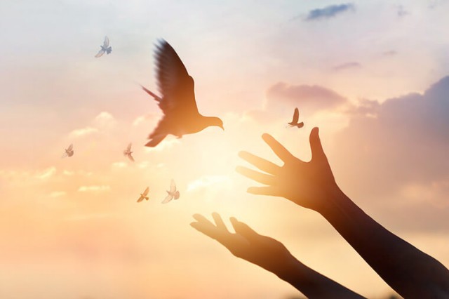 f:id:MochiMochiCat:20220411182825j:image