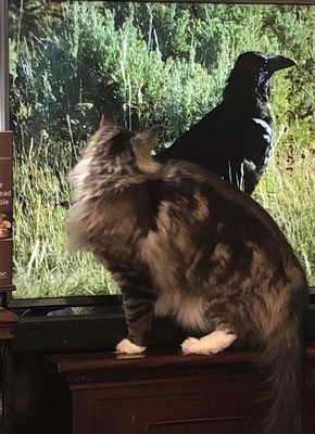 f:id:MofuMama:20200517210214j:plain f:id:MofuMama:20200517210214j:plain