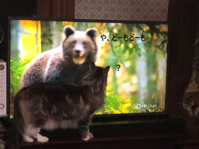 f:id:MofuMama:20210131231442p:plain