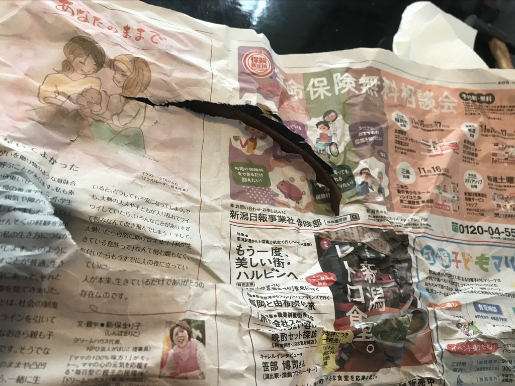 f:id:Momijiya-kaede:20200123141106j:plain:w250 f:id:Momijiya-kaede:20200123141106j:plain:w250