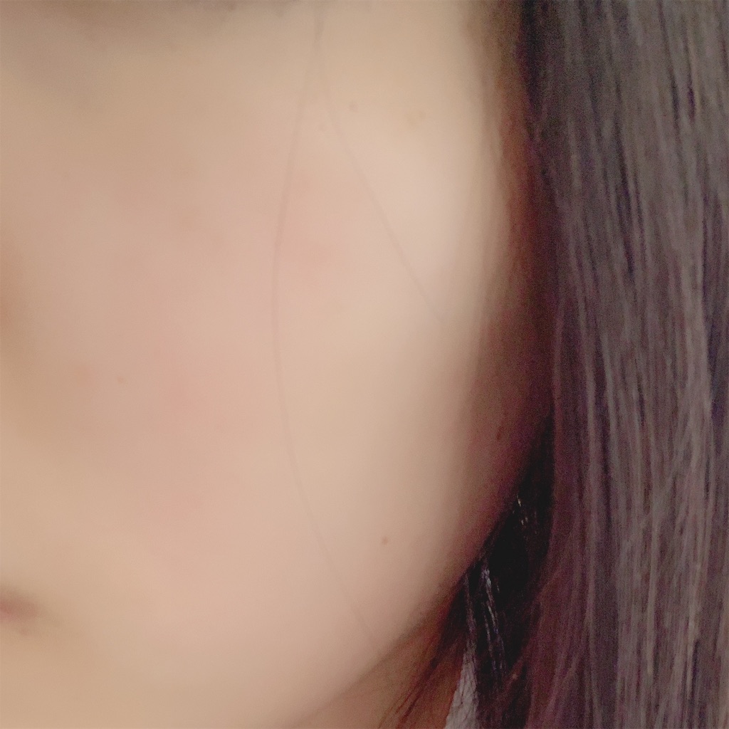 f:id:Momo561618:20190110140851j:image