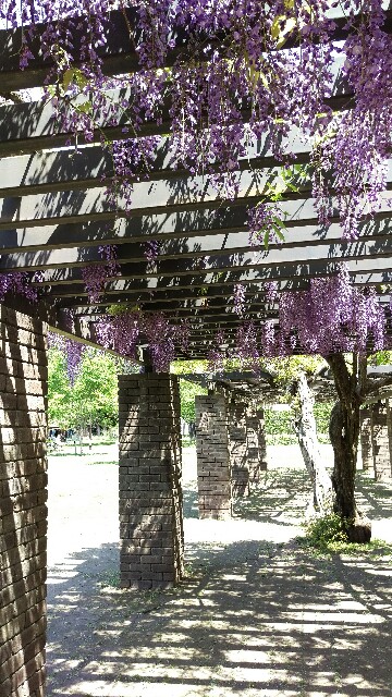 f:id:Monoto-On:20170508064237j:image