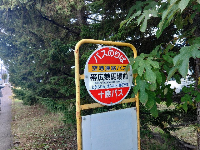 f:id:MonroeAkira:20240917142052j:image