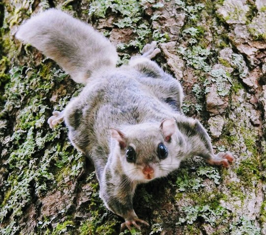 f:id:MonroeAkira:20241103132814j:image