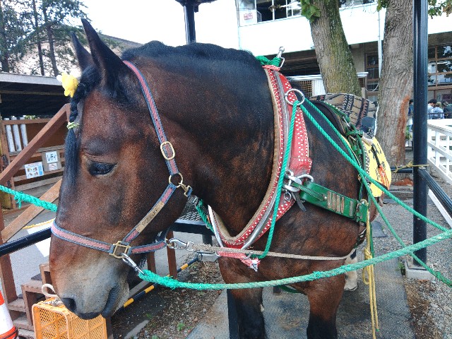 f:id:MonroeAkira:20250315104815j:image