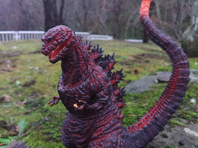 f:id:MonroeAkira:20250315110009j:image