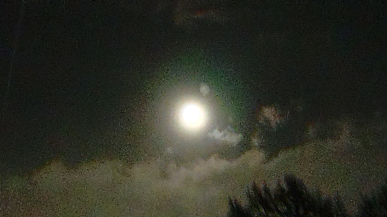 f:id:MonroeAkira:20251205183004j:image