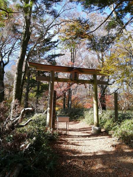 f:id:Montanhanq:20191113215628j:plain