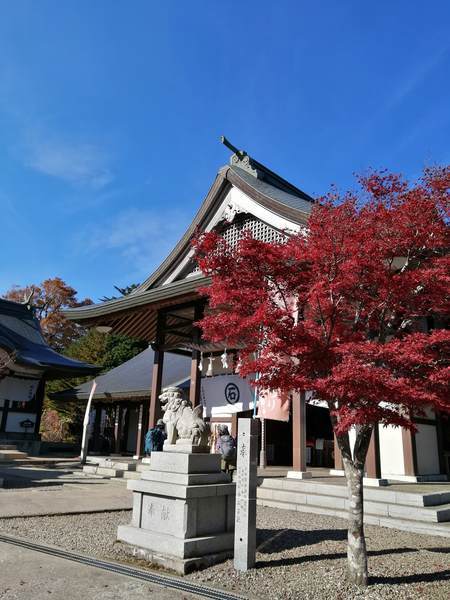 f:id:Montanhanq:20191113220040j:plain