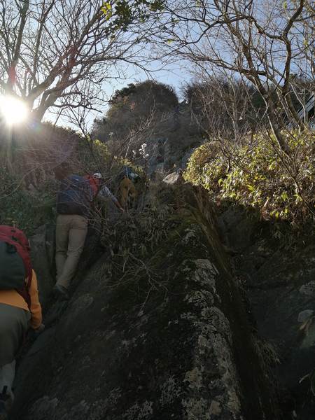 f:id:Montanhanq:20191113220335j:plain