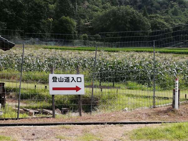 f:id:Montanhanq:20210726174518j:plain