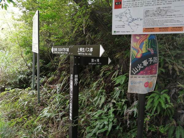 f:id:Montanhanq:20210726174553j:plain